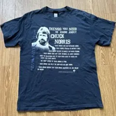 古着　Tシャツ チャックノリス