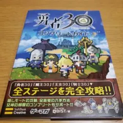 勇者30コンプリートガイド