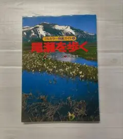 尾瀬を歩く フルカラー特選ガイド⑧　山と山渓社