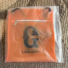 Item thumbnail for item b171748a-438d-4324-a935-df424fbc90d9