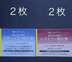 西武ホールディングス 株主優待券 スキーリフト割引券 レストラン割引券