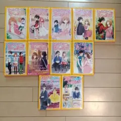 たったひとつの君との約束 全巻セットプラス番外編