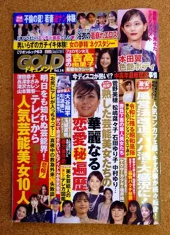 美品・メル便） 実話ナックルズ GOLD ドキュメント14 ミリオンムック63