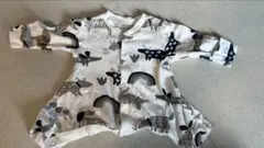 Item thumbnail for item 5bcd89d3-e52e-44e2-a45f-61cb085b150d