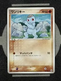【10点2500円引き】ワンリキー