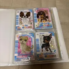 ワンタメ　カード91枚入り