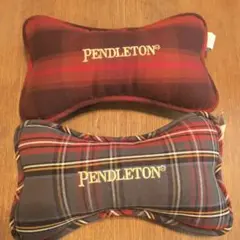 ペンドルトン PENDLETON ミニクッション2個セット