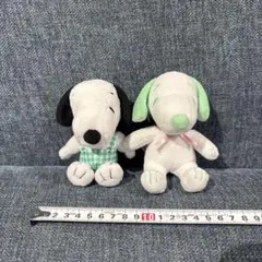 【現品限り】スヌーピー 緑 2点セット