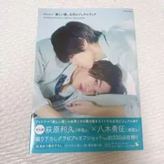 美しい彼　公式ビジュアルブック