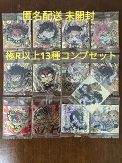 極R以上13種コンプセット