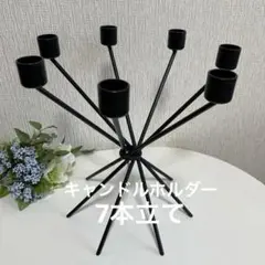 ブラックメタルキャンドルホルダー 7本用　お花や植物なども可