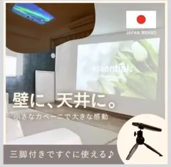 Item thumbnail for item 4de0aef8-6a44-49b9-80c6-49e43d5c66b7