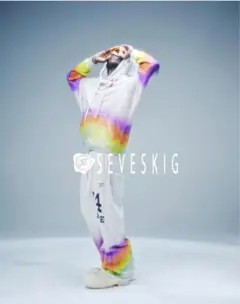 seveskig