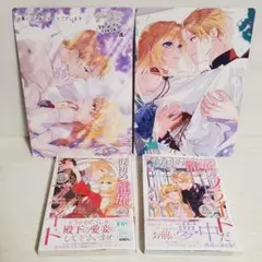 仮初め寵妃のプライド ～皇宮に咲く花は未来を希う～ 1~2巻 特典付き