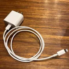 Apple 純正 iPad充電器 20Wアダプタ・タイプCライトニングケーブル
