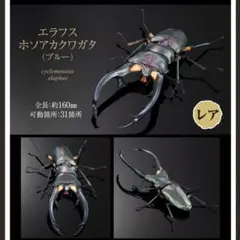 Item thumbnail for item 39cabb0f-7ceb-4f38-b5e4-4d565b7e3467