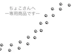 ちょこさんへ