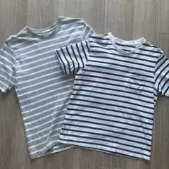 ストライプ 半袖Tシャツ ホワイト/ネイビー