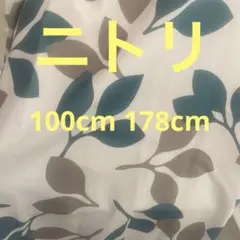 ニトリ　カーテン　リーフ　リーフ柄　100 178