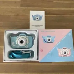 Item thumbnail for item a97c826e-b7be-473d-a966-118d4a9746bf