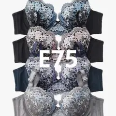Nissen　nissen ニッセン ブラジャー E75 ブラック