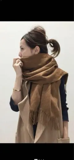 超希少 VICUÑA 100% ヴィクーニャ ビクーニャ ビクーナ 大判ストール 美品・希少】VICUNA ビキューナ ストール マフラー 最高級