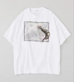 NICENESS 25AW U.BERNARD Tsuchinoko XL