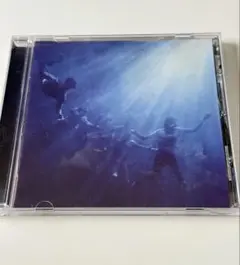 Foals Total Life Forever cd