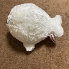 AURORA アザラシ ぬいぐるみ