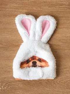 Item thumbnail for item 524a7103-64a1-4afc-96c5-76e9927d95cd