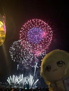 専用④
