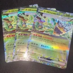 オーガポンみどりのめんex 3枚セット