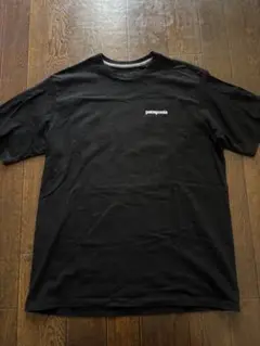 patagonia パタゴニア ブラック Tシャツ P6ロゴ プリントM
