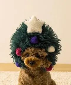 Item thumbnail for item a8cb2fea-0b75-4cdc-b4ef-45be43110d96