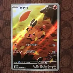 ポケモンカード　ポカブ　AR