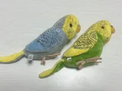 セキセイインコ ぬいぐるみセット
