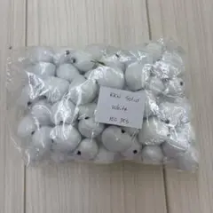 フラダンス◾️タヒチ◾️ククイ　ホワイト100個
