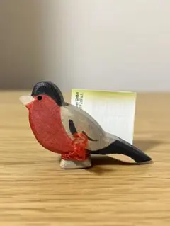 オストハイマー（ostheimer)ウソ/鳥