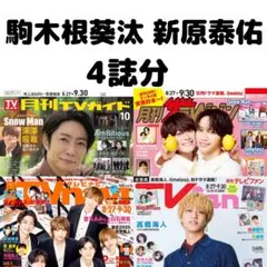 月刊TVガイド ザテレビジョン TVnavi 駒木根葵汰 新原泰佑 切り抜き