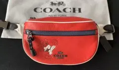 日本限定 COACH ×ディズニー ボディバッグ カラテ