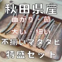 Item thumbnail for item 545cb91d-56f5-4a20-8849-ce23725c35e8