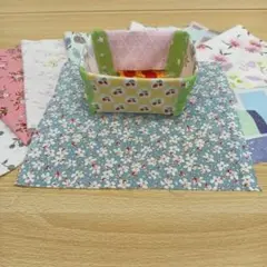 ★A823★ カットクロス/プリント生地/国産/25cm×25cm/10点