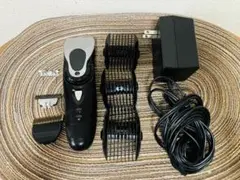 Item thumbnail for item 7d070288-7538-45f1-bf5f-45c2cab1502b