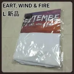 メンズ　Tシャツ　L　新品