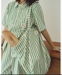 common gull products. 　夏の傍のバッグ