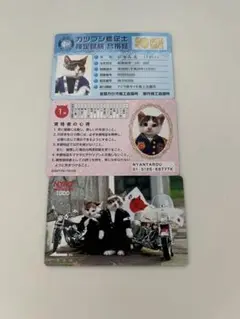 なめ猫 カード3枚