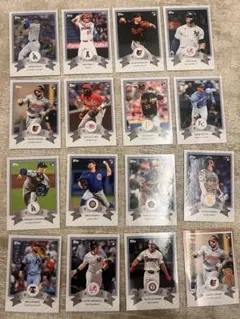 全15種 TOPPS 2024 WONDERLAND セット