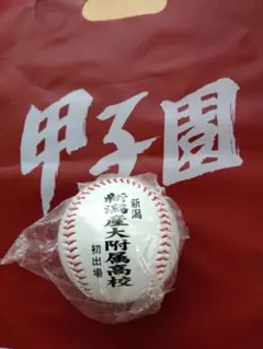 新潟産大附属高校甲子園大会初出場ボール