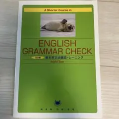 A Shorter Course in Grammar Check