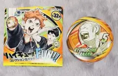 ハイキュー!!ファンパーク コレクション缶バッジ【田中龍之介】